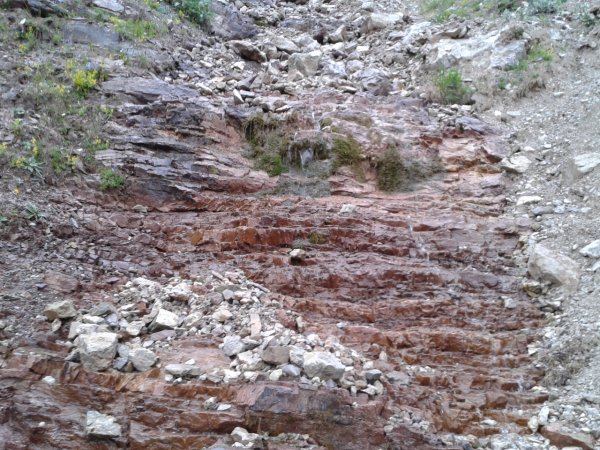 Stream
