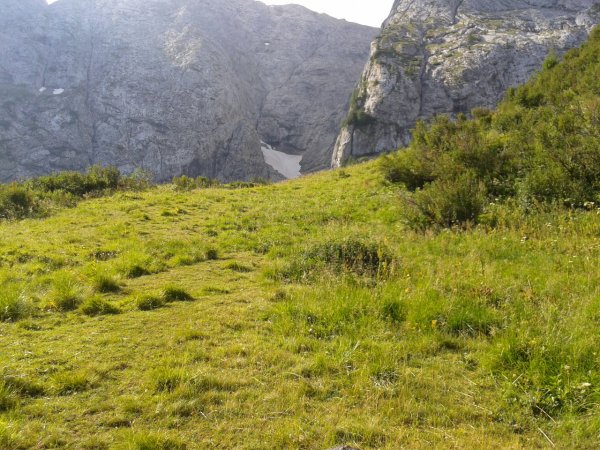 Diversion
