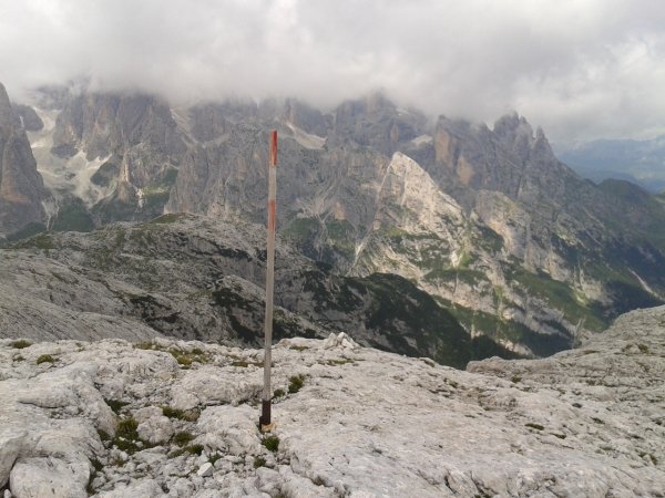 Pole
