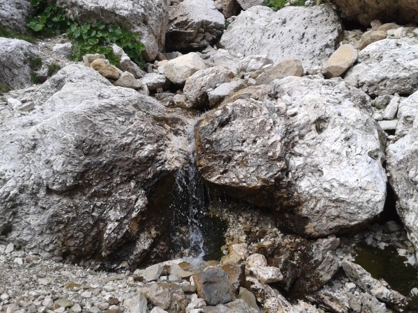 Stream
