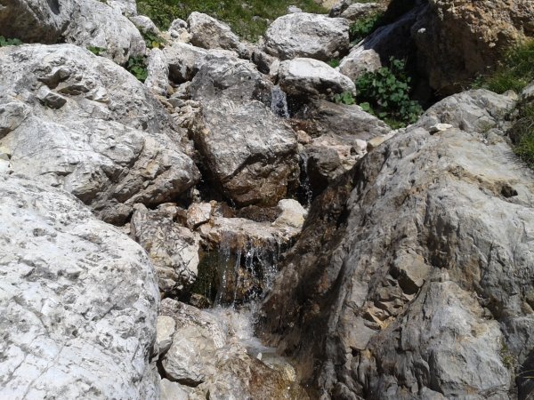 Stream
