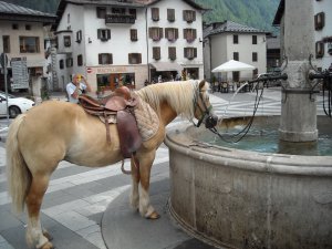 Piazza e fontana