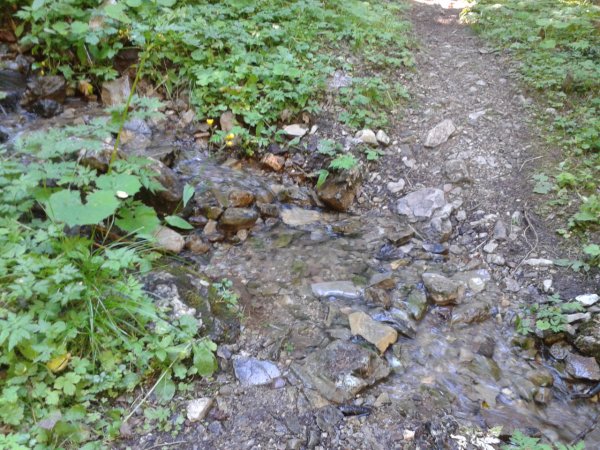 Stream
