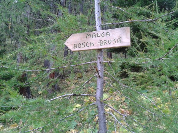 Fork
to Malga Bosc Brusà