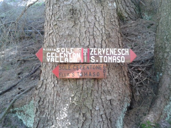 Signpost
