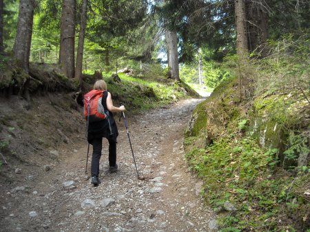 /treks/europe/it/bl/val-biois/sponda-sinistra/piz-croce/sentiero.jpg