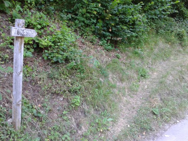 Fork
to Todesch