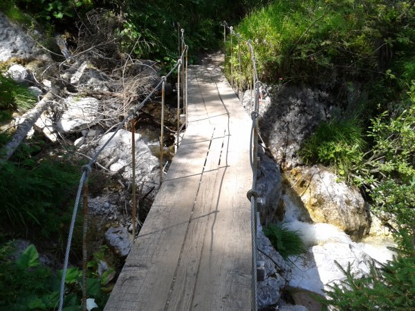 Small bridge
