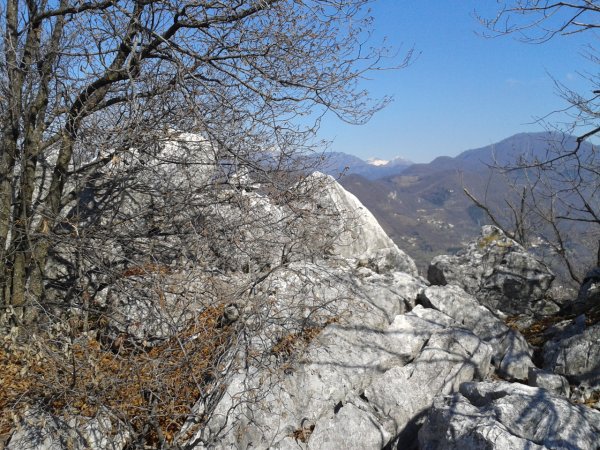Secondary summit
