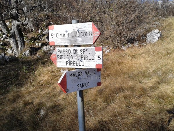 Fork
for Malga Valle