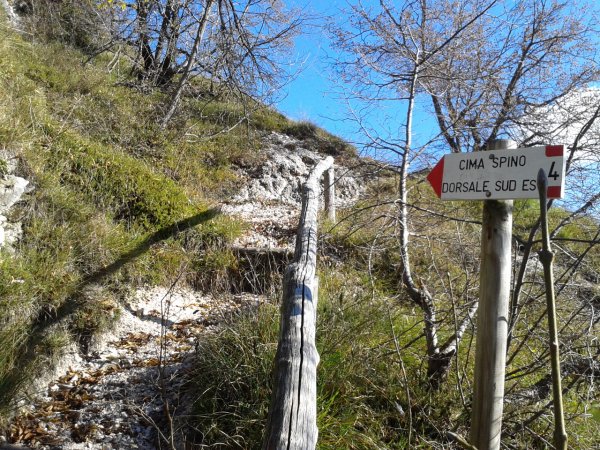 Fork
to Cima Spino
