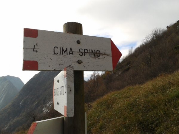 Fork
to Cima Spino