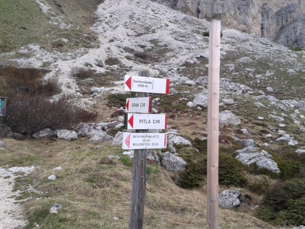 Signs
