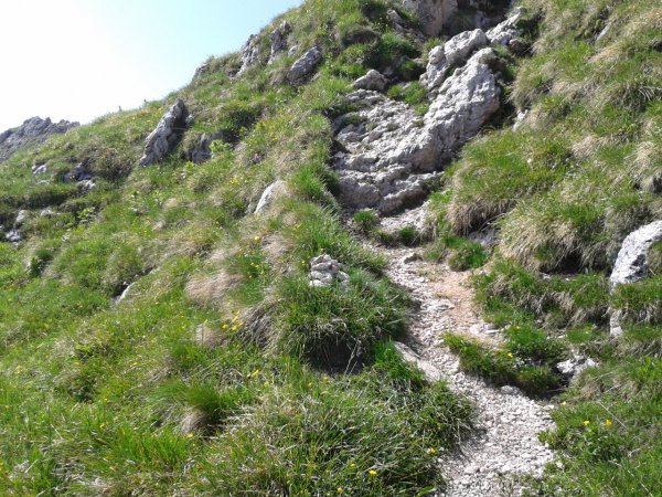Fork to Seceda
