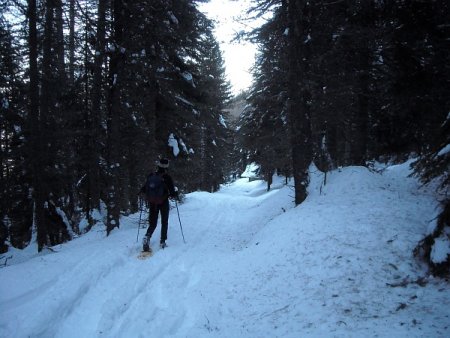 /treks/europe/it/bz/sarntaler-alpen/ostkamm/karspitze/forestale.jpg