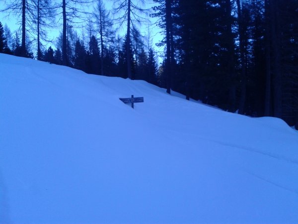 Signpost
