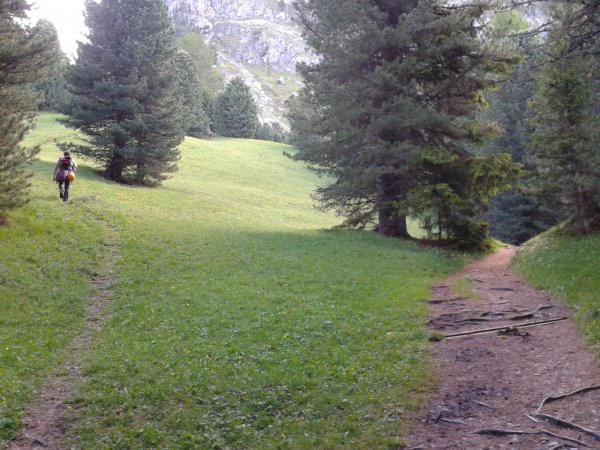 Diversion
from the trail