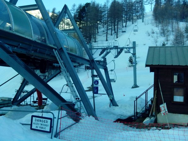 Ski plants
