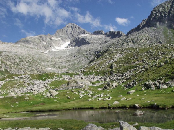 /treks/europe/it/tn/alpi-dell-adamello/gruppo-dell-adamello/cima-care-alto.jpg