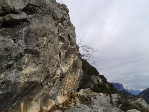Short wall
