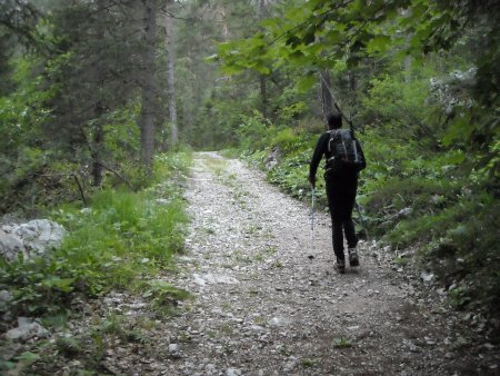 /treks/europe/it/tn/dolomiti-di-brenta/catena-settentrionale/gran-de-formenton/sentiero.jpg