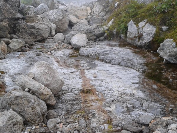 Stream

