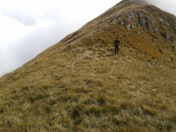 Grassy saddle
