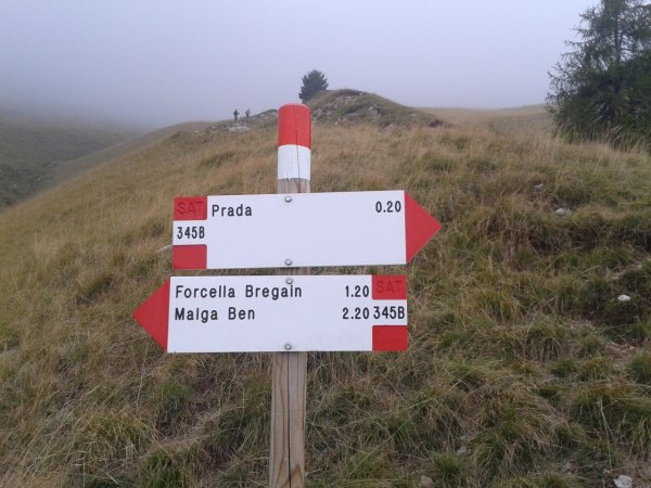 Signpost 345b
