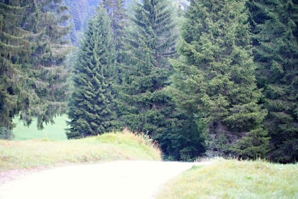 Starting point
from the parking lot at Hotel Brenta 