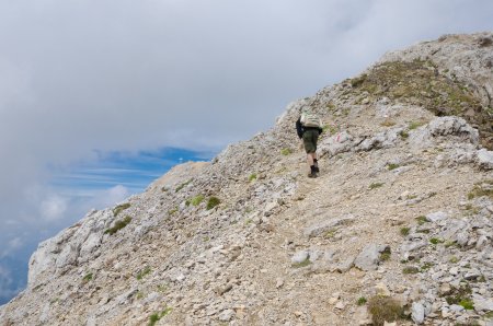 Traccia 18
La ripida ascesa, la croce del Latemarspitze (2791m) sullo sfondo.