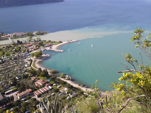 Viewpoint
