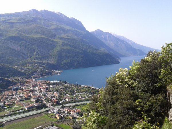 Viewpoint
