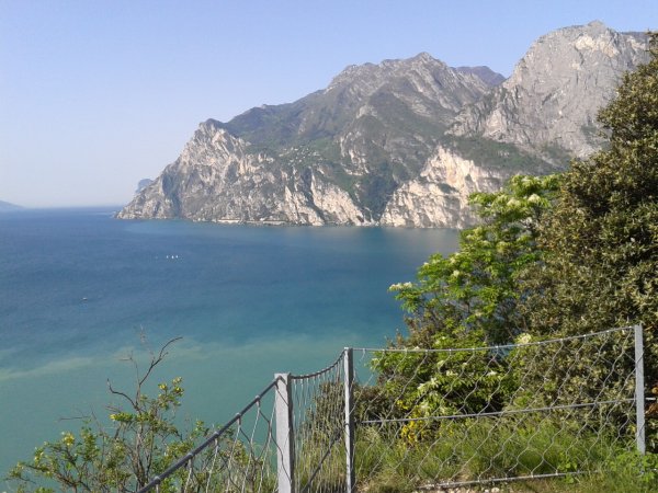 Viewpoint
