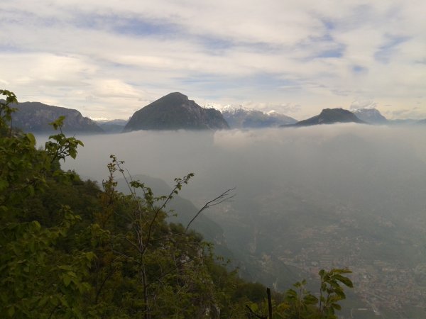 Viewpoint
