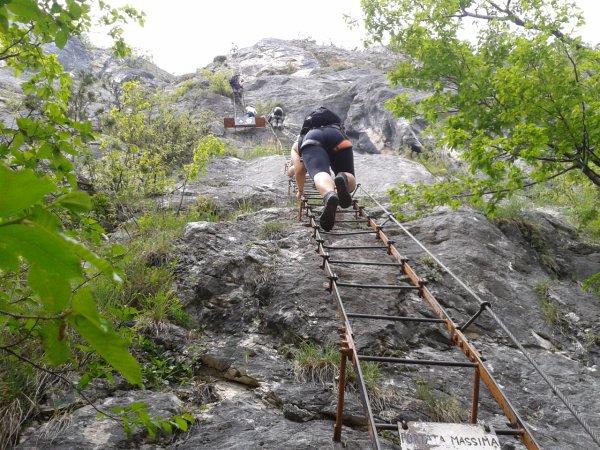 Ladder
