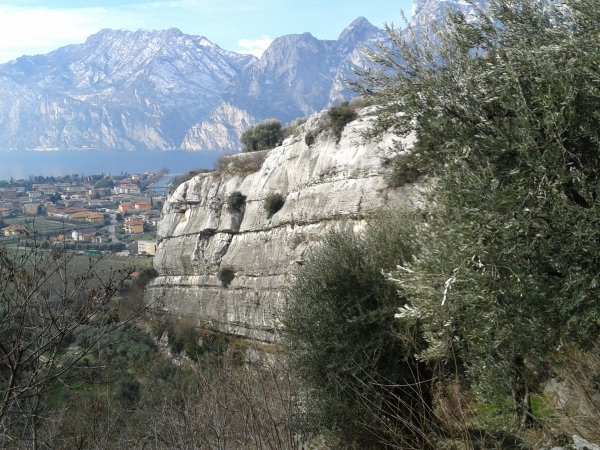 View on the climbing wall