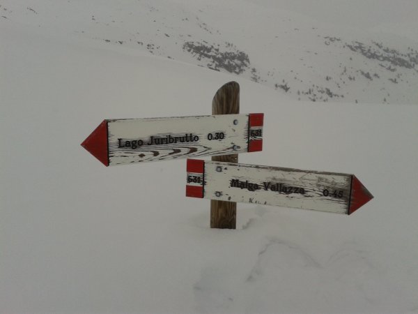 Signs
