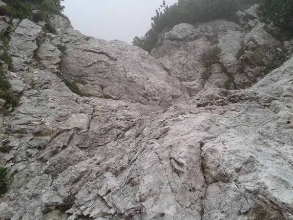 Wall
