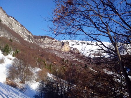 nel bosco c'è neve