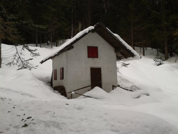 Hut
