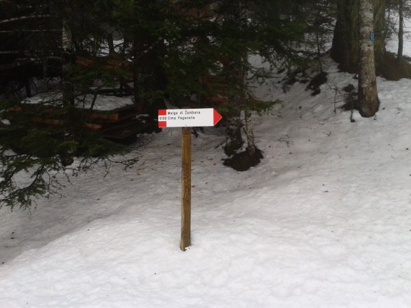 Start of trail
