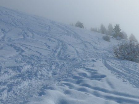 All'uscita dal bosco