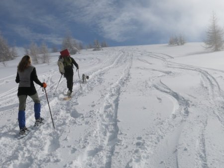 Verso l'Alpe Alba