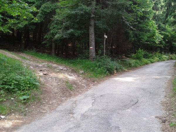 Crossroad
