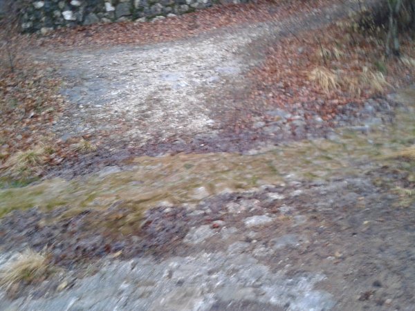Stream
