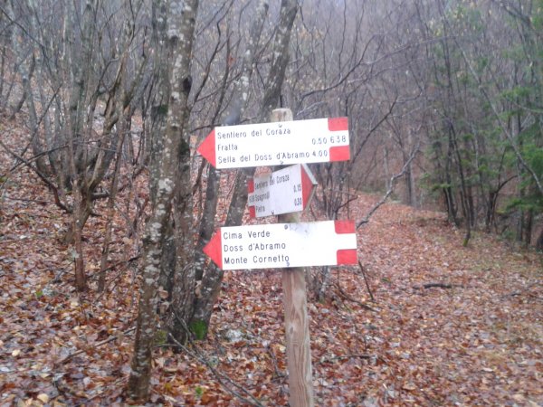 Signpost
