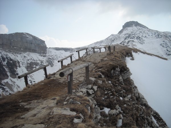 Ridge
with fence