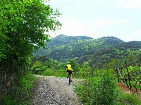 strada della Fachina