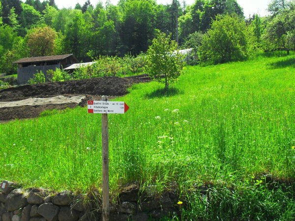 Fork
at Montevaccino, on the Sentiero del Marez