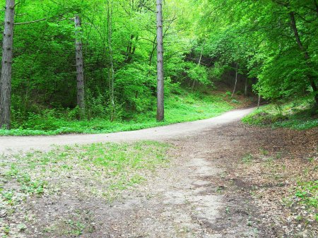 sentiero del Marez confluenza sulla strada de Mez